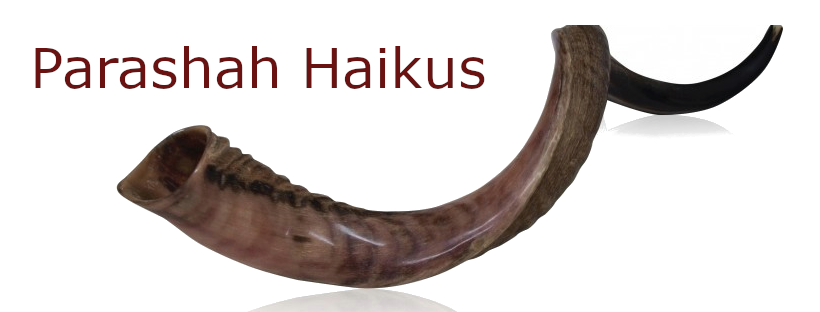 Parashah Haikus